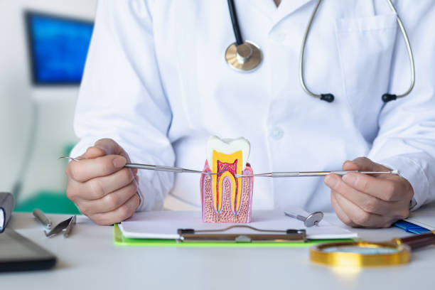 Best Emergency TMJ Treatment in Marienville, PA
